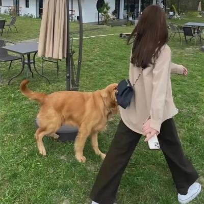 鬼摇灵2:阴语阵阵