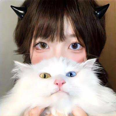 江城谜案